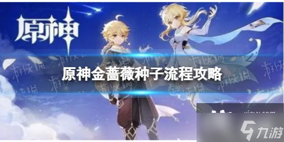 原神隐藏任务金蔷薇种子怎么做