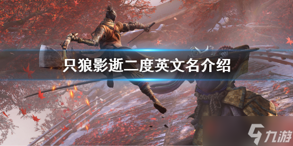 《只狼影逝二度》英文名是什么 英文名介绍