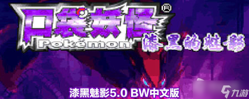 《口袋妖怪 漆黑的魅影5.0》道具购买大全