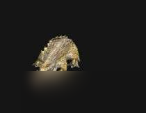 魔獸世界狩獵鱷魚伏擊任務(wù)完成攻略一覽