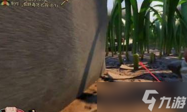 禁闭求生野草茎干在哪里 禁闭求生野草茎干位置