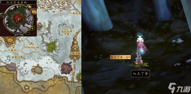 魔獸世界懷舊服WLK紅玉丁香獲取位置一覽