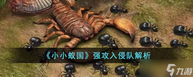小小蚁国强攻入侵队怎么样-强攻入侵队解析