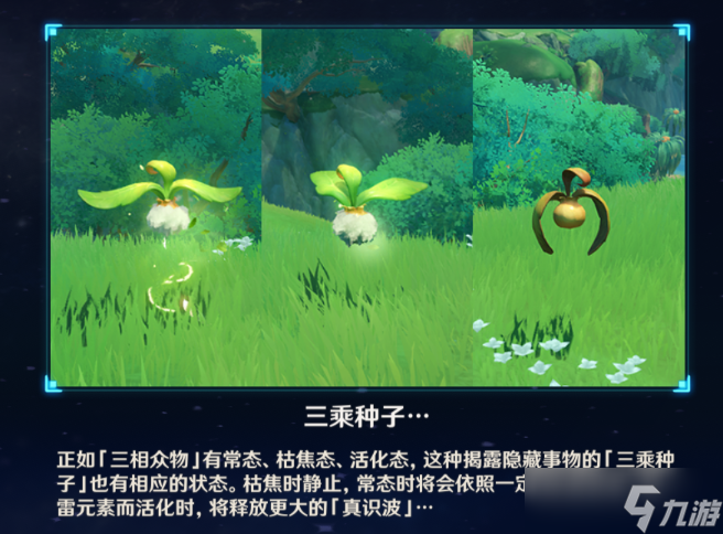 《原神》沙海迷踪四个火炬草种子不动了