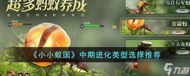 小小蚁国中期进化选择什么类型 中期进化类型选择推荐
