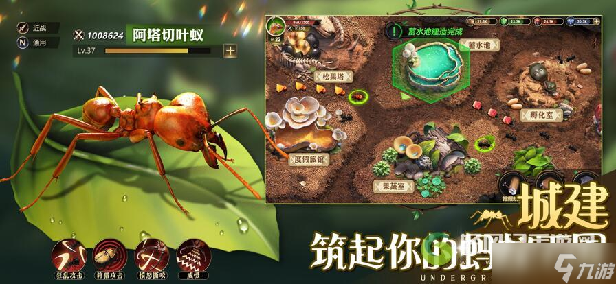 小小蚁国搬砖心得分享