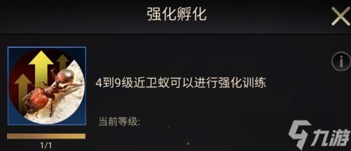 《小小蚁国》游戏中期进化类型选择推荐