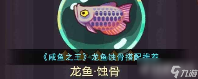 咸魚之王龍魚蝕骨搭配推薦