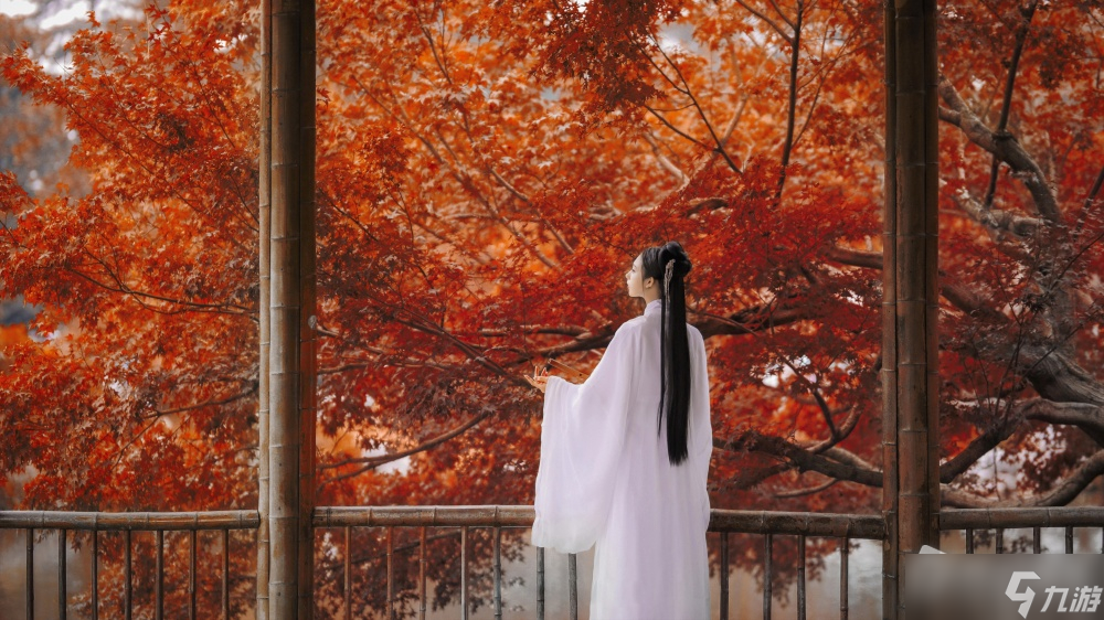 《侠女逍遥录》行阳丹怎么获得