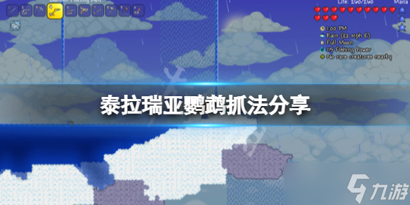 《泰拉瑞亚》金刚鹦鹉怎么抓？鹦鹉抓法分享