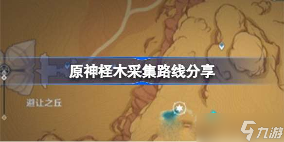 原神柽木怎么快速采集 原神柽木采集路线分享