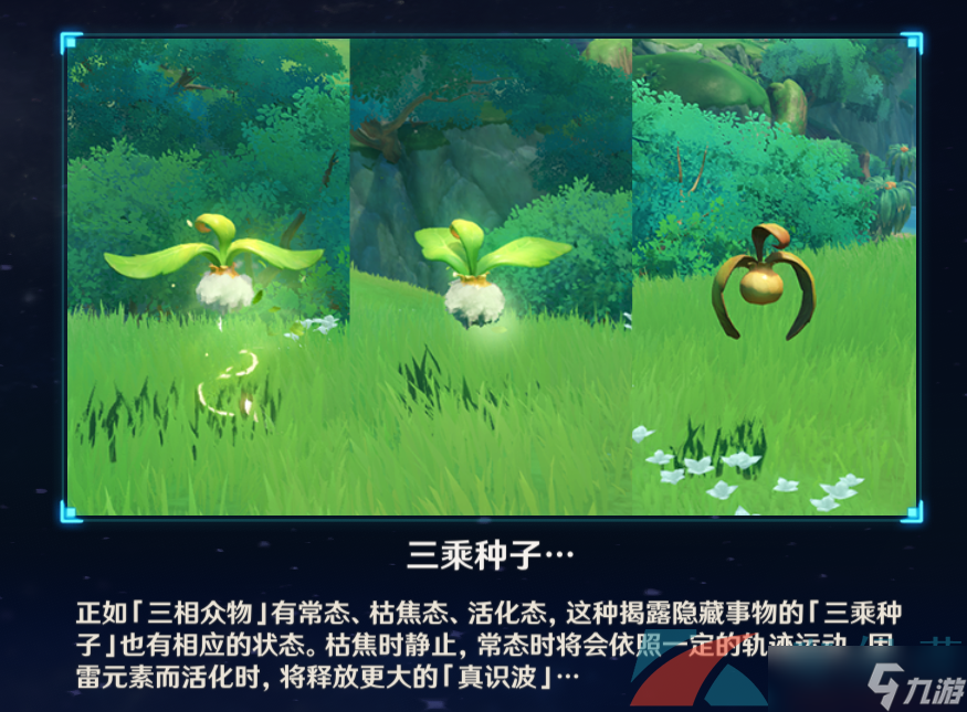 《原神》沙海迷踪四个火炬草种子动不了解决方法