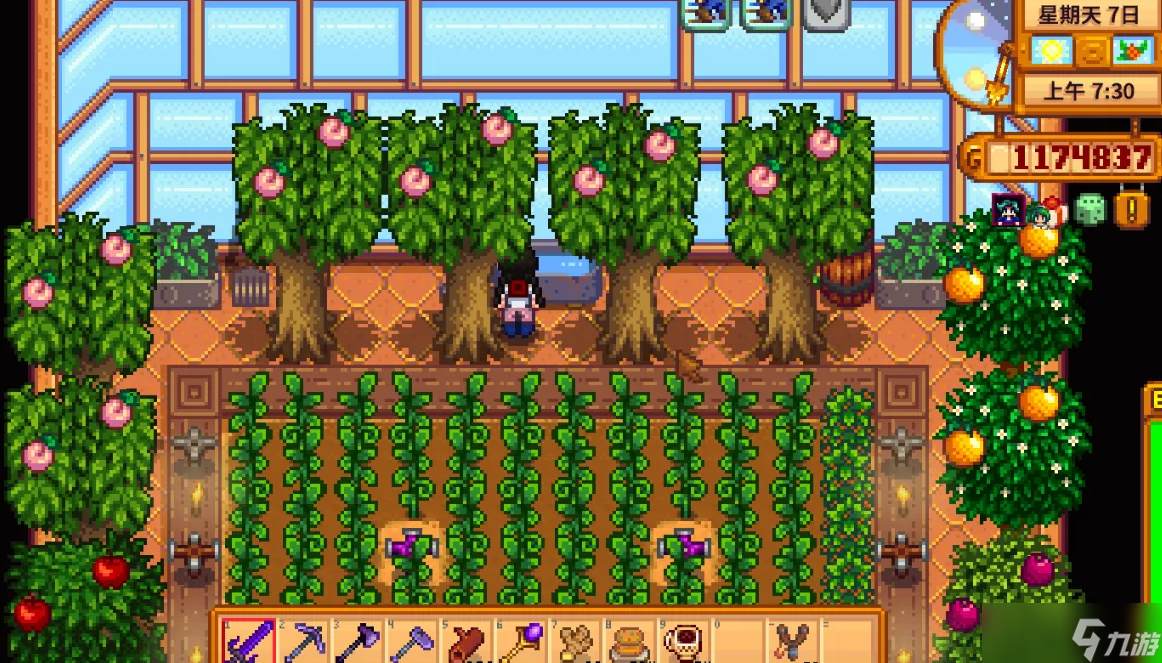 星露谷物语咖啡种植攻略