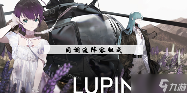 非匿名指令同调流阵容组成
