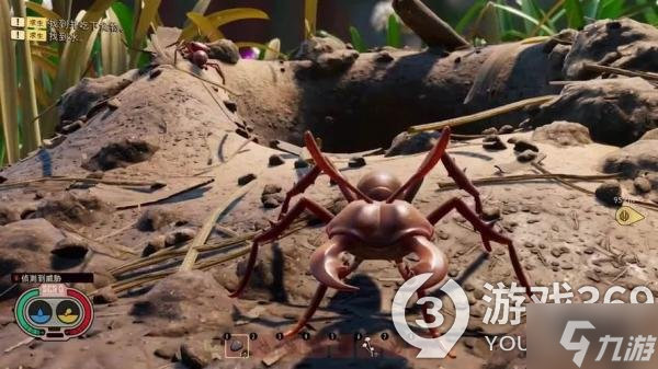 《禁闭求生》锦鲤套装怎么得？锦鲤套装获得方法介绍