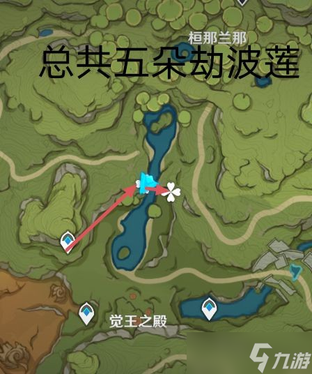 《原神》劫波蓮快速采集路線分享 劫波蓮怎么采？