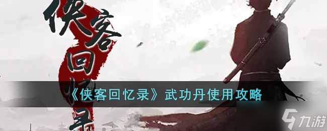 侠客回忆录武功丹怎么使用 武功丹使用攻略