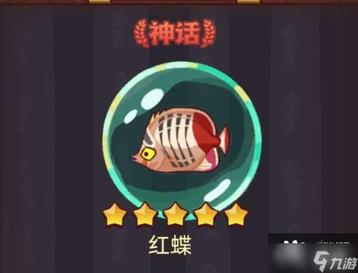 咸鱼之王红蝶搭配推荐