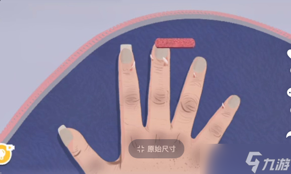 收纳达人最美丑甲怎么进行挑战