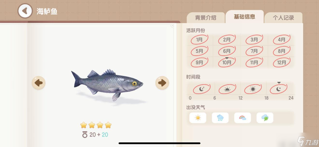 心动小镇海鱼位置图鉴大全