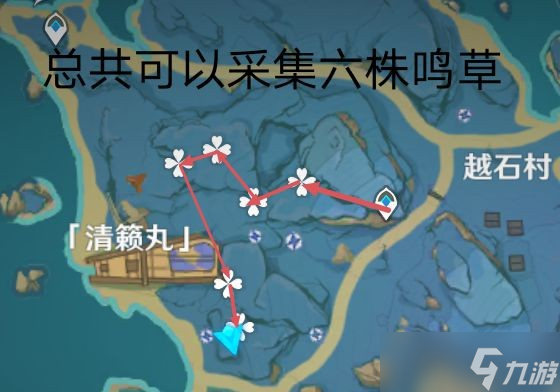 《原神》鳴草采集路線詳解 鳴草怎么采集？