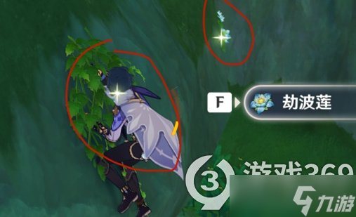 《原神》劫波莲快速采集路线分享 劫波莲怎么采？