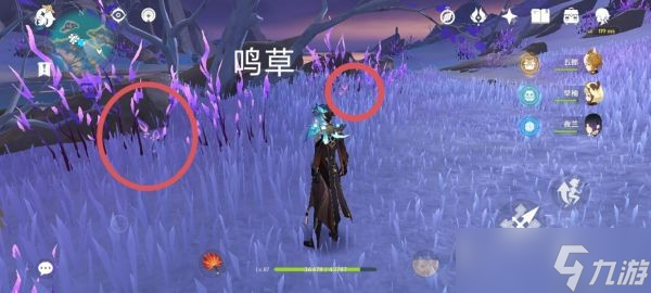 《原神》鸣草采集路线详解 鸣草怎么采集？