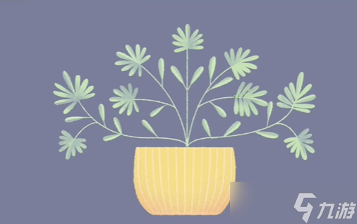 收纳达人花花世界攻略