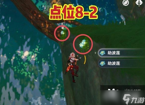 原神劫波莲收集路线