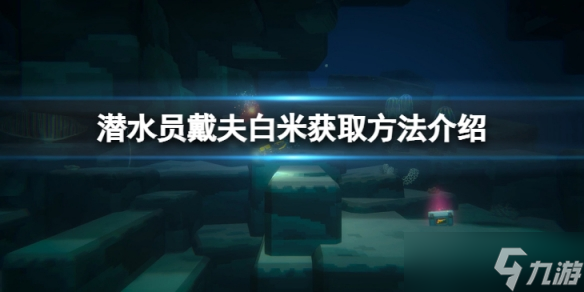 《潜水员戴夫》白米怎么获取？白米获取方法介绍