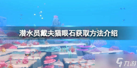 《潜水员戴夫》猫眼石怎么获得？猫眼石获取方法介绍