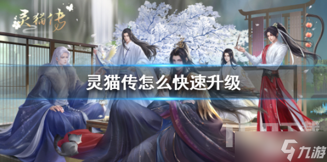 灵猫传如何快速进行升级 灵猫快速升级攻略