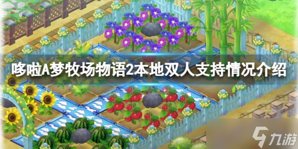 《哆啦A梦牧场物语2》支持本地双人么？本地双人支持情况介绍