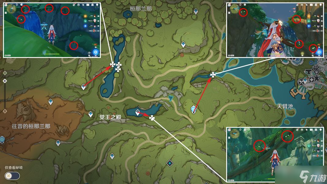 《原神》纳西妲培养素材全路线解析