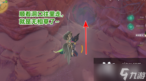 原神无相之草多久刷新一次