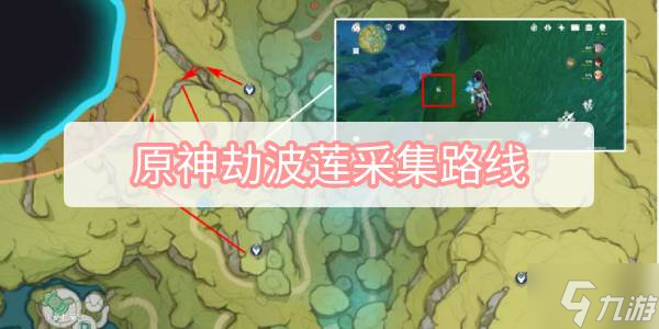 原神劫波莲采集路线