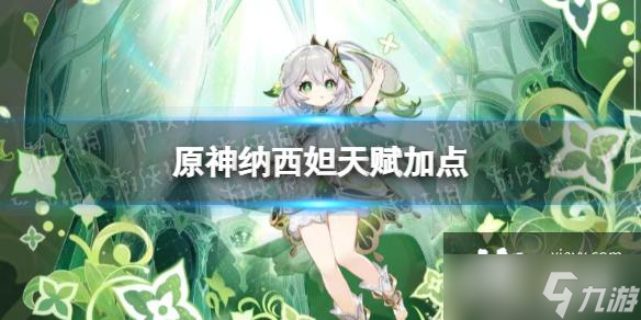 原神纳西妲天赋加点