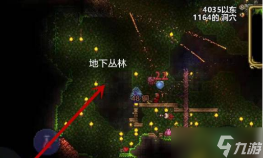 泰拉瑞亚蜂后怎么找
