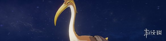 原神圣�q在哪抓