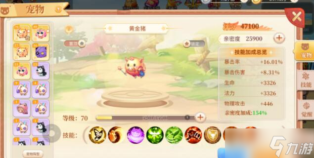 永恒岛之彩虹世界最强宠物培养攻略