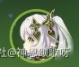 《原神》纳西妲二命主C配队分享