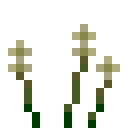 《我的世界》交错次元瓶刷草怎么获得