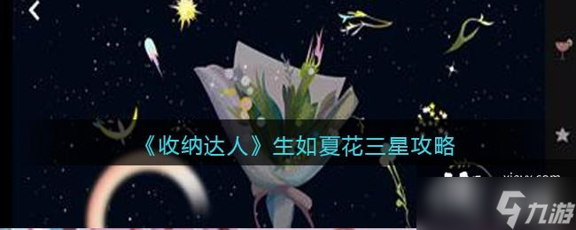 《收纳达人》生如夏花三星攻略