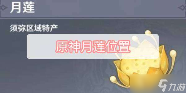 原神月莲位置介绍
