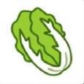 羊了个羊16种图案一览