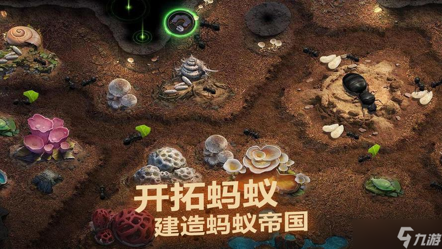 小小蚁国怎么快速发展 小小蚁国快速发展方向攻略