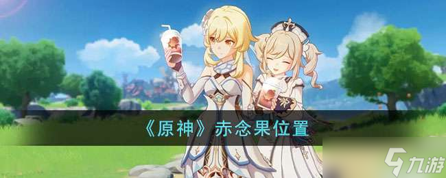原神赤念果位置介绍
