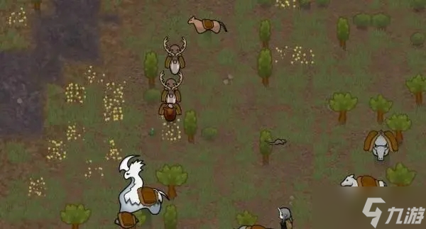 rimworld怎么喂动物