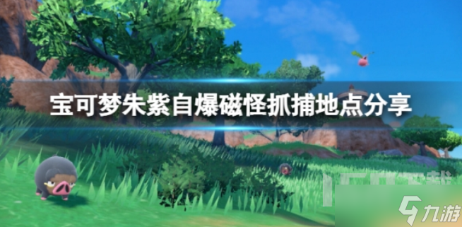 寶可夢朱紫自爆磁怪哪里可以抓 自爆磁怪抓捕地點匯總