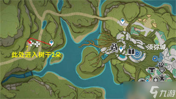 原神树王圣体菇如何采集呢